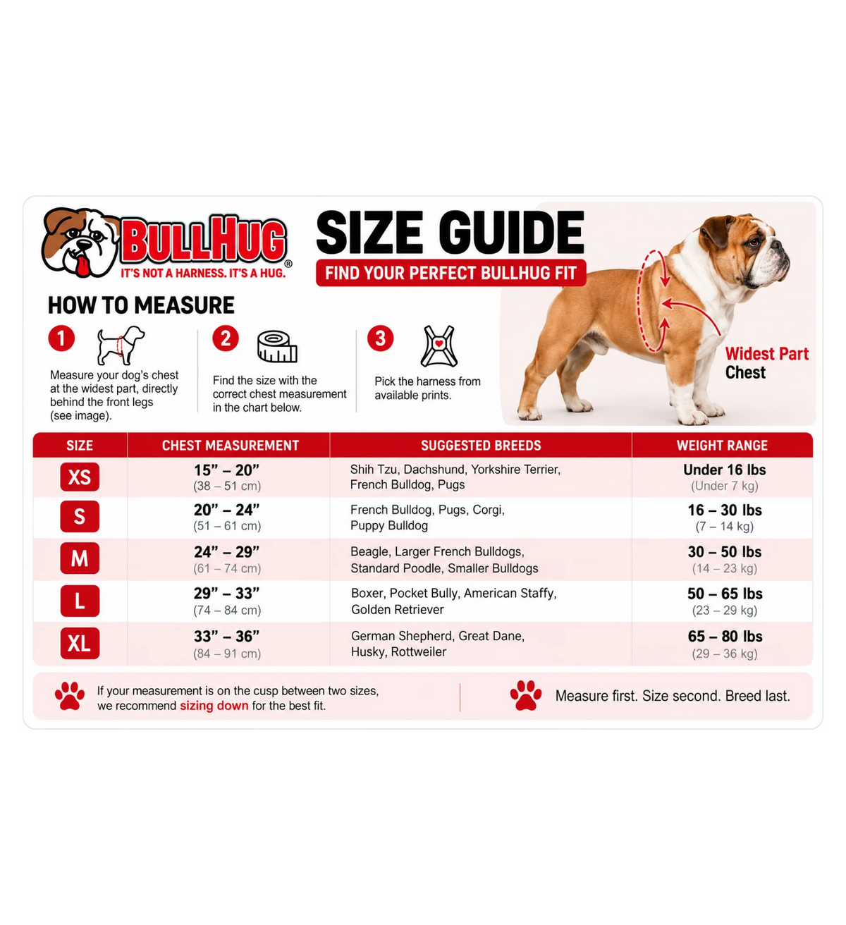 Rubber Ducky BullHug Dog Harness – Non-Choking, Adjustable