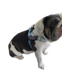 "BUMBLE BEE" HARNESS - thebullhug.com