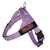 "PURPLE" ADJUSTABLE BULLHUG HARNESS - thebullhug.com