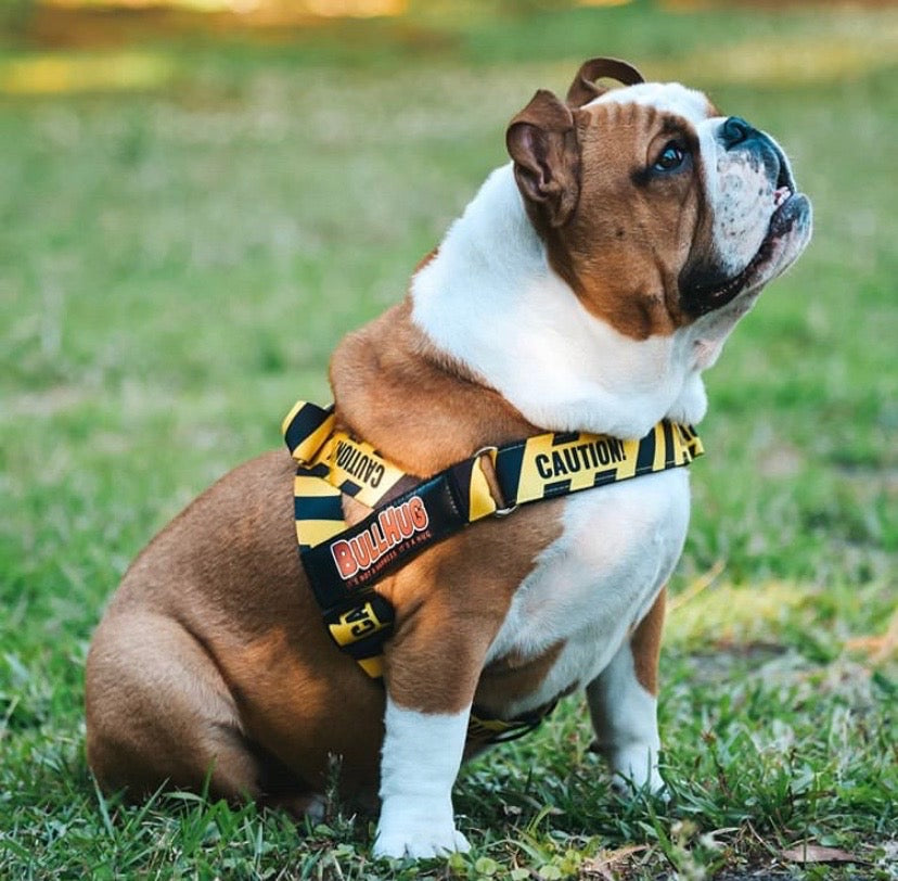 "STAYBACK" ADJUSTABLE BULLHUG HARNESS - thebullhug.com