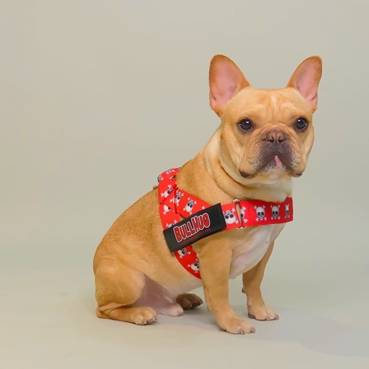 "SKULLS" ADJUSTABLE BULLHUG HARNESS - thebullhug.com