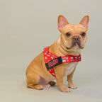 "SKULLS" ADJUSTABLE BULLHUG HARNESS - thebullhug.com