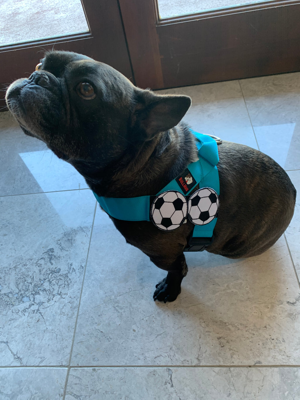 Flair Patch -Soccer Ball - thebullhug.com