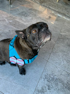 Flair Patch-Baseballs - thebullhug.com
