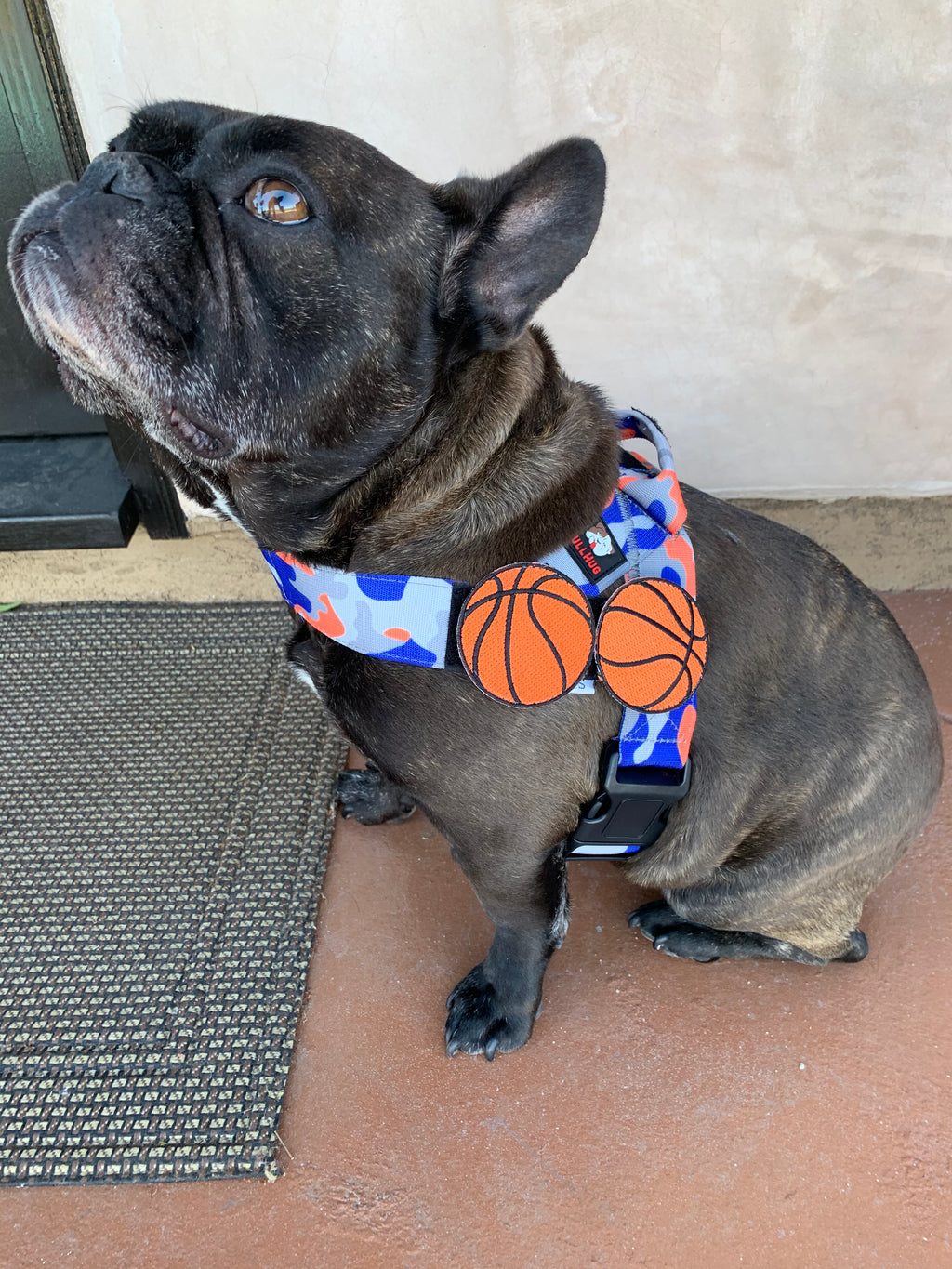 Flair Patch-Basketballs - thebullhug.com