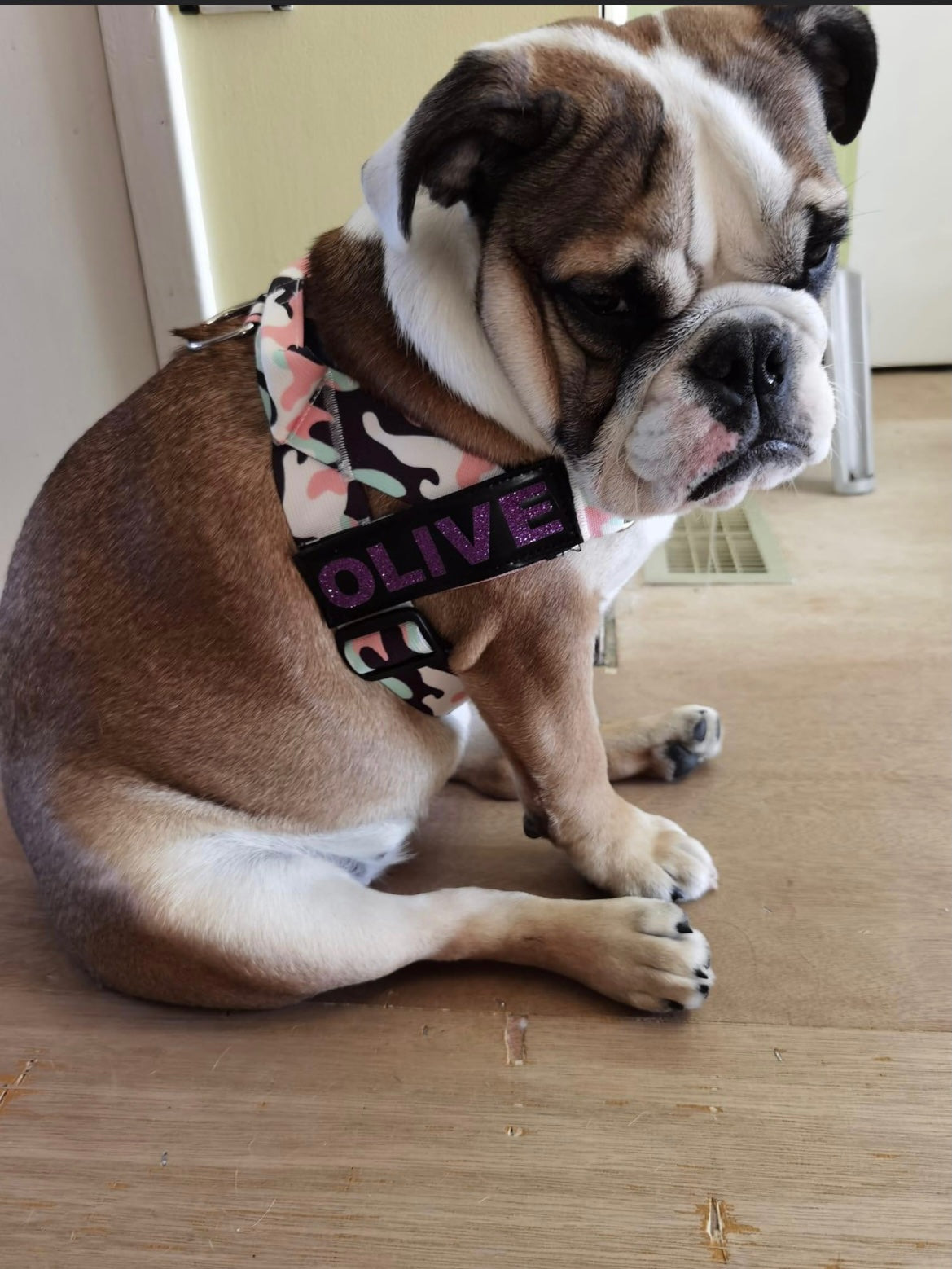 Custom Name Tag - thebullhug.com