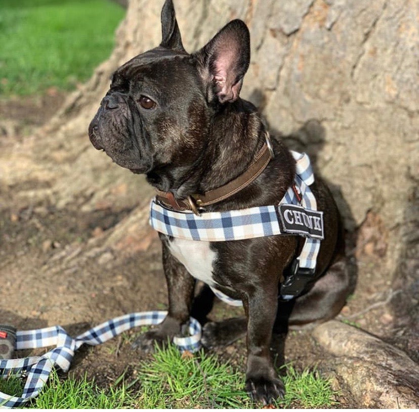 BLUE & TAN PLAID ADJUSTABLE BULLHUG HARNESS - thebullhug.com