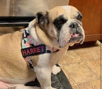 PINK & MINT CAMOUFLAGE ADJUSTABLE BULLHUG HARNESS - thebullhug.com