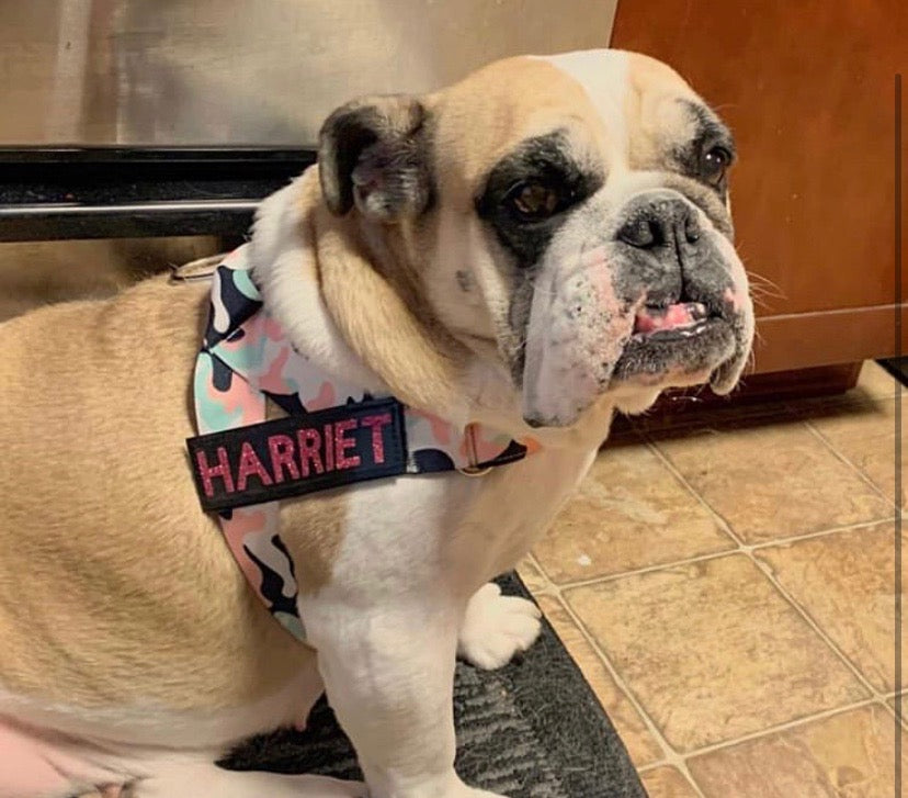 PINK & MINT CAMOUFLAGE ADJUSTABLE BULLHUG HARNESS - thebullhug.com