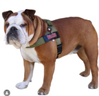 "OLIVE GREEN" BULLHUG HARNESS - thebullhug.com
