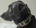 TACTICAL COLLAR- ARMY CAMOUFLAGE - thebullhug.com