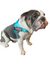 "TIFFANY BLUE" BULLHUG HARNESS - thebullhug.com