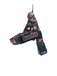 "DAY OF THE DEAD" HARNESS - thebullhug.com