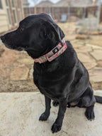 TACTICAL COLLAR- PINK FLORAL - thebullhug.com